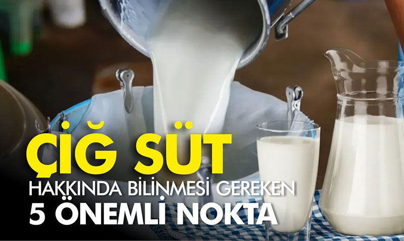 ÇİĞ SÜT HAKKINDA BİLİNMESİ GEREKEN 5 ÖNEMLİ NOKTA!