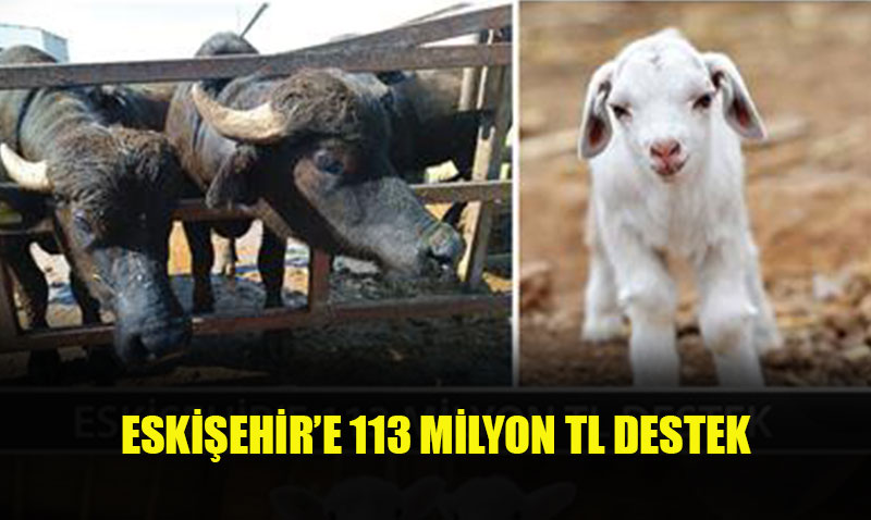 ESKİŞEHİR’E 113 MİLYON TL DESTEK