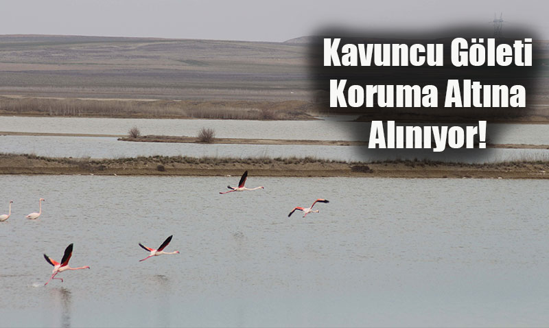 Eskişehir’e Yeni Doğal Sit Alanları Kazandırılıyor