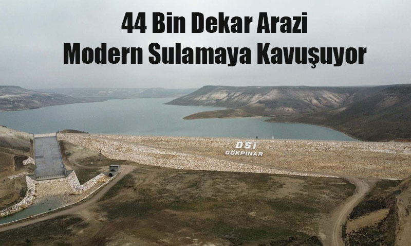 Yukar Sakarya lyaspaa Sulamas’nda almalar Hzla lerliyor