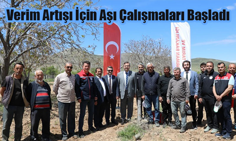 Günyüzü’nde Ceviz Üreticileri İçin Umut Veren Proje