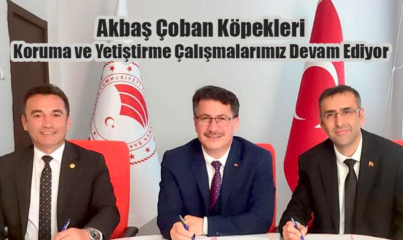 Sivrihisar’da AKBAŞ Çoban Köpeği Tesisi Belediyeye Tahsis Edildi