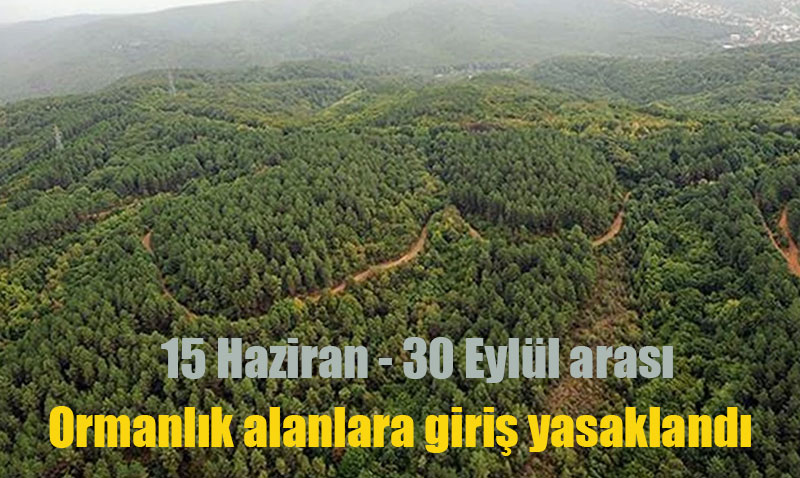Eskiehir ve Afyonkarahisar’da Ormanlara Giriler Yasakland!