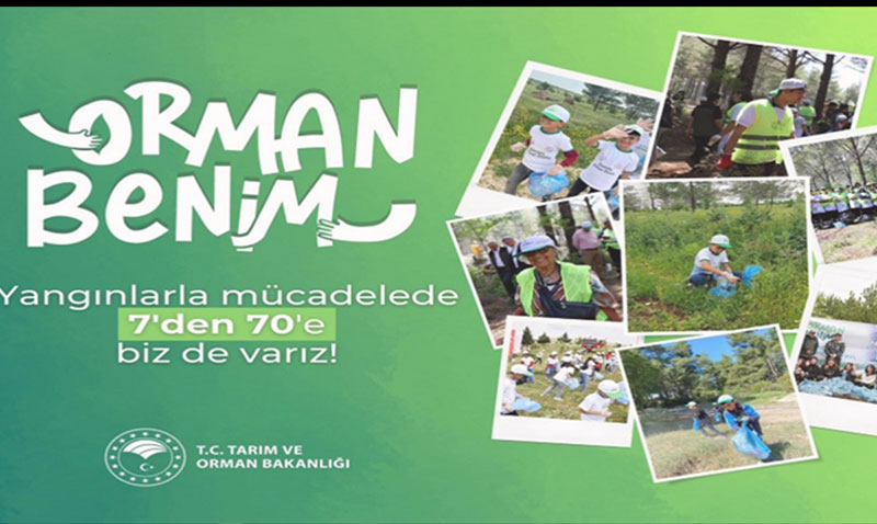 7DEN 70E HERKES BU YIL DA ORMAN BENM DYECEK