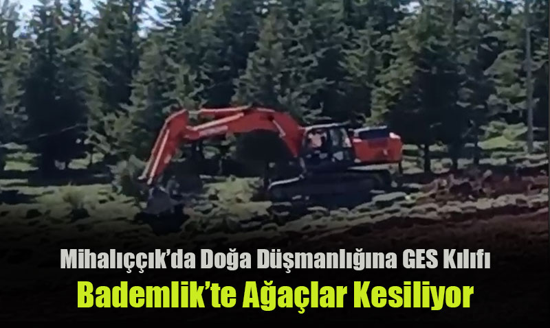Yunus Emreyi Anarken Aalar Kesiliyor: Doaya Kymayn!