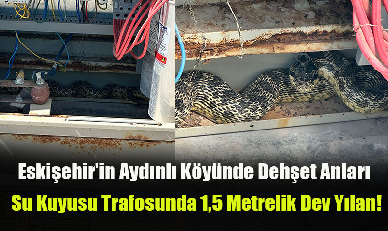 Eskiehir’in Aydnl Kynde Dehet Anlar