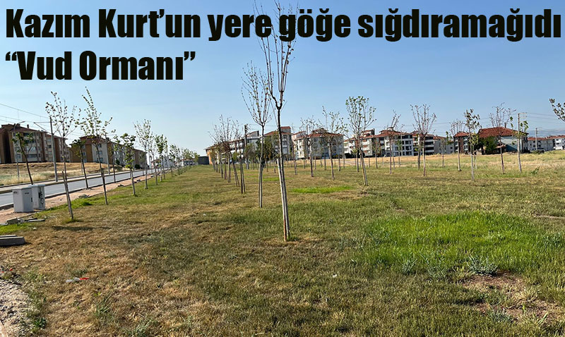 "Git VUD Orman’nda Piknik Yap!"
