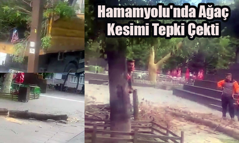 Hamamyolu’nda Aa Kesimi Tepki ekti