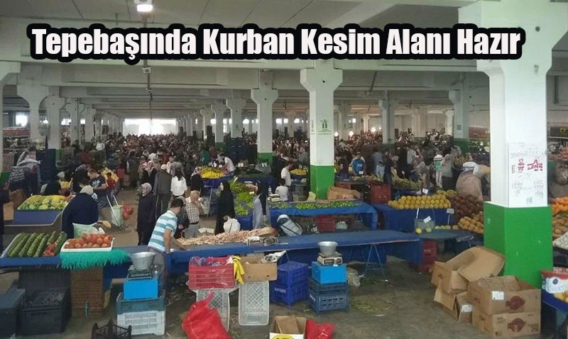 Tepebaşı’nda kesim alanı hazır