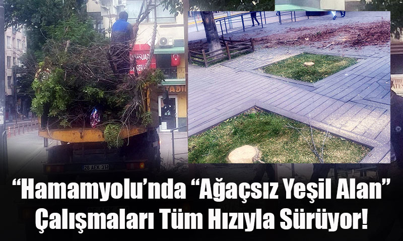 Bakan Vuraldan Hamamyolundaki Aa Kesimine Sert Tepki