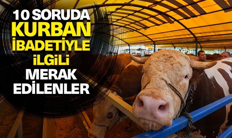 10 soruda kurbanla ilgili merak edilenler