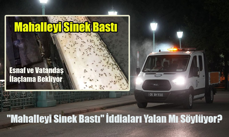 Eskiehir’de Sinek Mcadelesi: "Mahalleyi Sinek Bast" ddialar Yalan M Sylyor?
