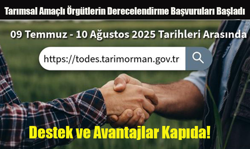 Tarmsal Amal rgtlerin Derecelendirme Bavurular Balad