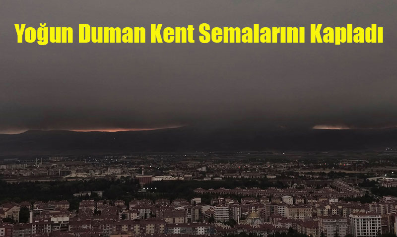 Sakarya’daki Orman Yangını Eskişehir’i de Etkiledi