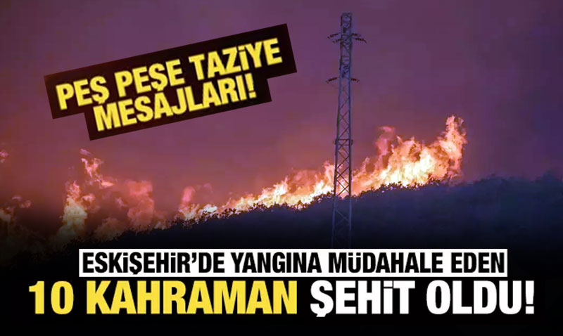 10 orman işçisi şehit oldu! Peş peşe taziye mesajları...
