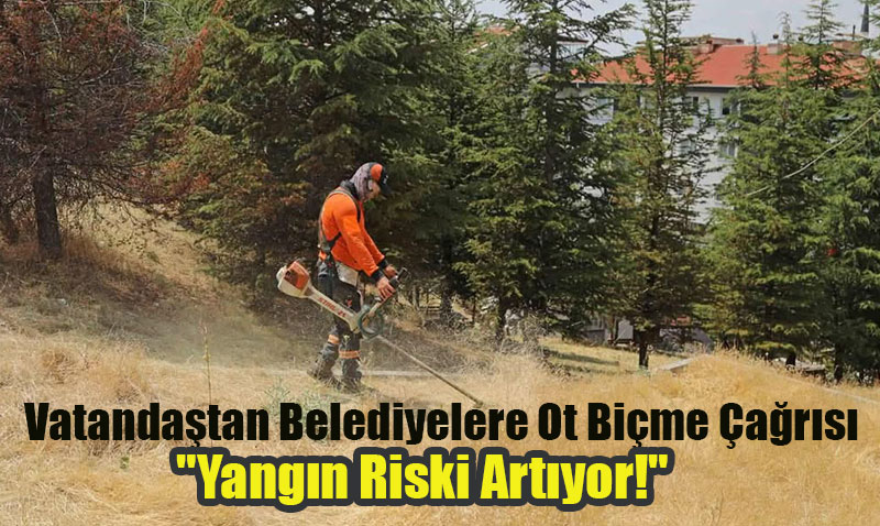 Vatandaştan Tepebaşı ve Odunpazarı Belediyelerine Ot Biçme Çağrısı