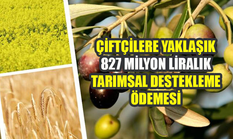 Çiftçilere Yaklaşık 827 Milyon Liralık Tarımsal Destekleme Ödemesi Yapılıyor