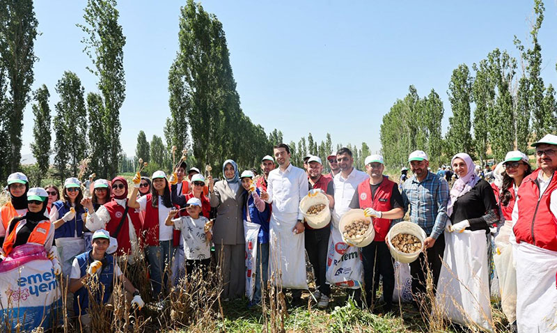 Gen Gnlller Hasat in Tarm Alanlarnda