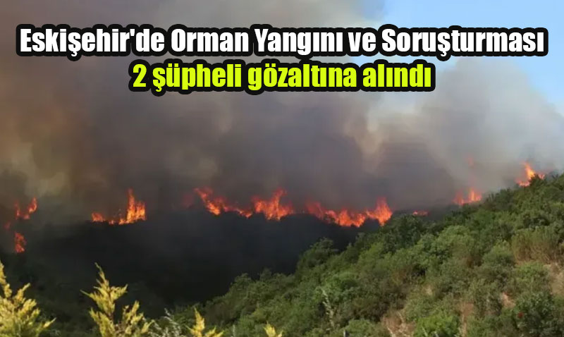 Eskişehir de dahil 12 İlde 65 Orman Yangını: 44 Şüpheli Gözaltına Alındı, 10’u Tutuklandı!