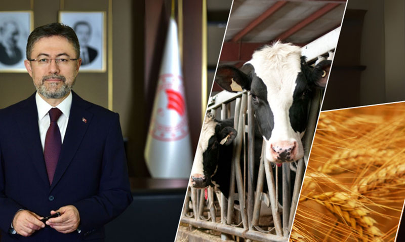 Türkiye Tarımsal Hasılatta Rekor Kırdı: Dünyada İlk 7 Ülke Arasına Girdi!