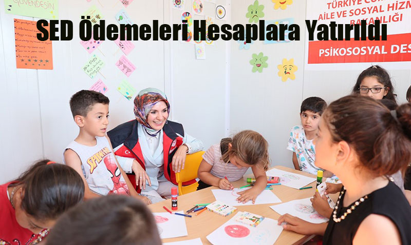 Ağustos Ayı SED Ödemeleri Hesaplara Yatırıldı