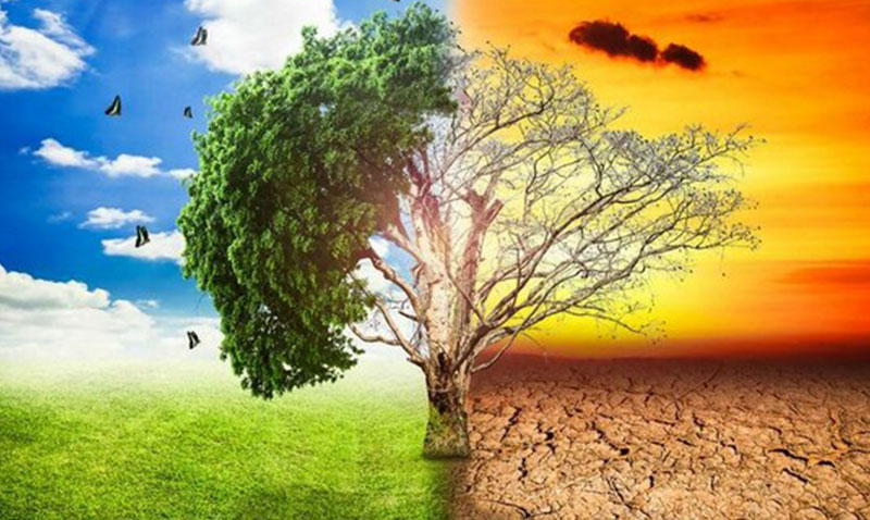 İklim Değişikliğiyle Mücadelenin Önündeki En Büyük Engel Algı Sorunları