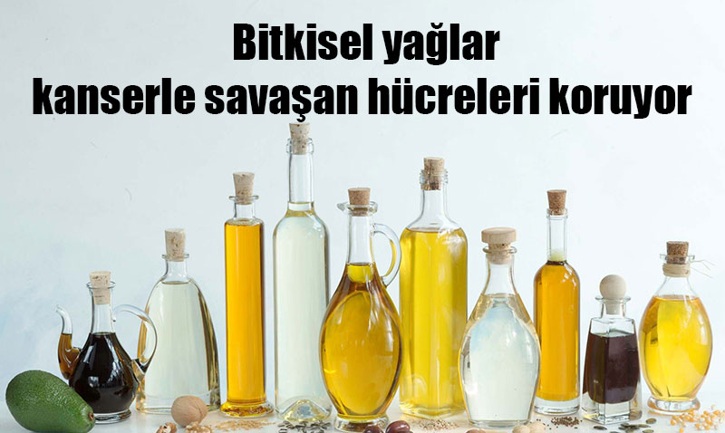 Hayvansal Yalar Kanserle Savaan Hcreleri Zayflatyor
