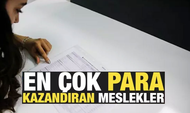 Türkiye’nin 2025 Yılında En Çok Kazandıran Meslekleri
