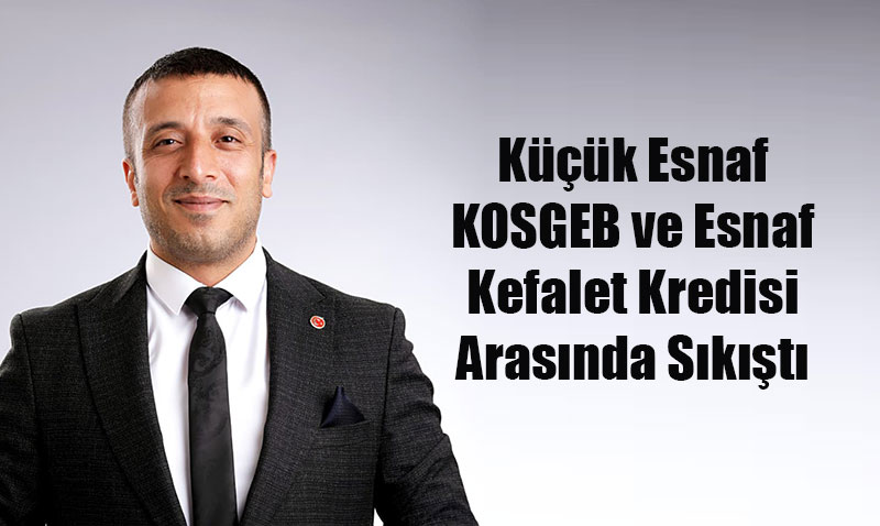 Kk Esnaf KOSGEB ve Esnaf Kefalet Kredisi Arasnda Skt