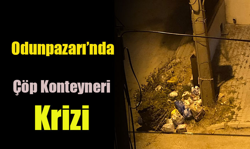 Odunpazarı’nda Çöp Konteyneri Krizi: Bir Mahallenin İsyanı