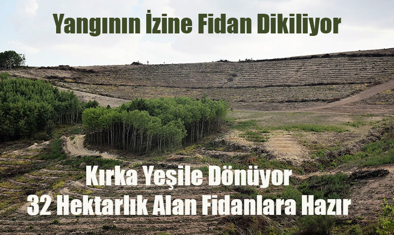 Sinanpaşa Kırka’daki Yangının Yaraları Sarılıyor