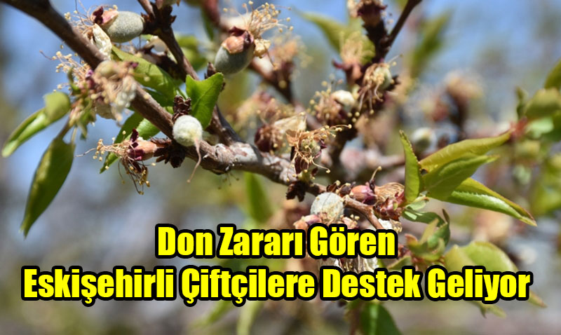 Don Zarar Gren Eskiehirli iftilere Destek Geliyor