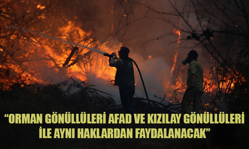 Orman Gönüllüleri İçin Yeni Düzenleme: AFAD ve Kızılay Gönüllüleriyle Eşit Haklar