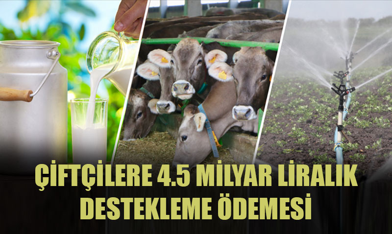 Tarım ve Orman Bakanlığı’ndan Çiftçilere 4,5 Milyar Liralık Destekleme Ödemesi