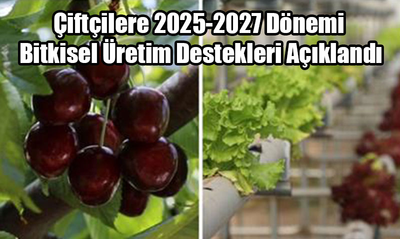 Çiftçilere 2025-2027 Dönemi Bitkisel Üretim Destekleri Açıklandı