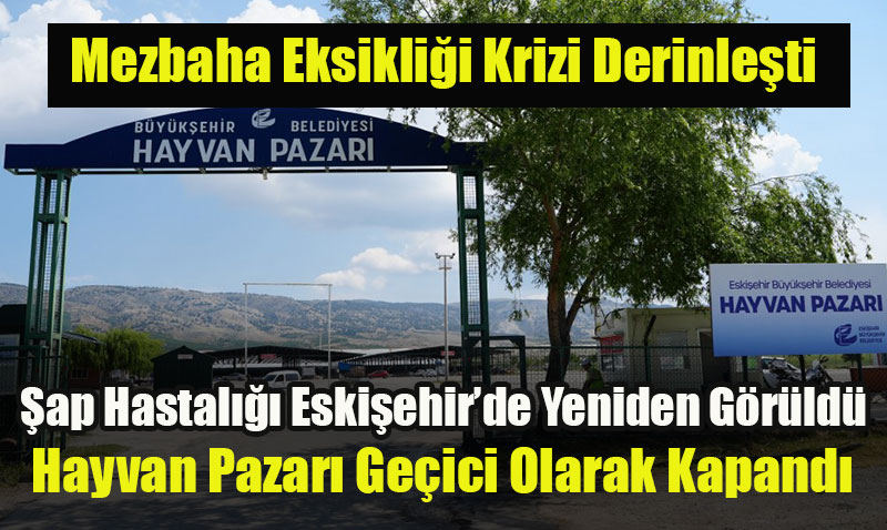 Mezbaha Eksikliği Krizi Derinleşti: Şap Hastalığı Eskişehir’de Yeniden Görüldü