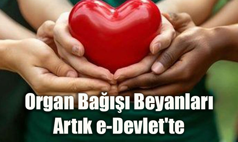 Sağlık Bakanlığı’ndan Organ Bağışı Sürecine Büyük Kolaylık