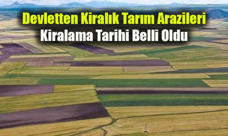 Devletten Kiralk Tarm Arazileri: Kiralama Tarihi Belli Oldu