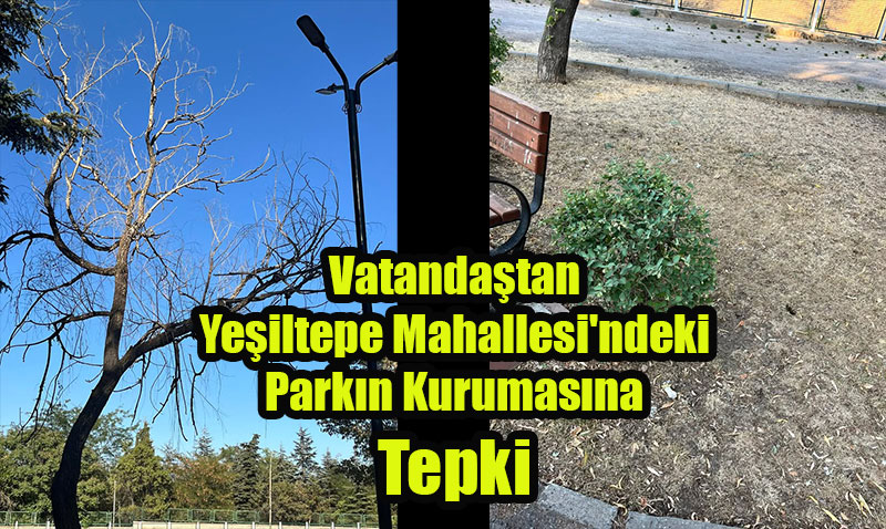 Vatandatan Yeiltepe Mahallesi’ndeki Parkn Kurumasna Tepki