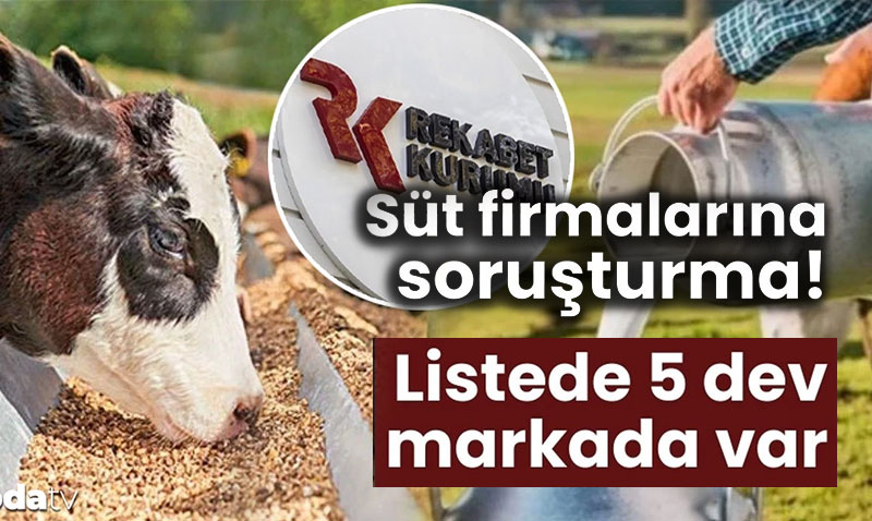 Rekabet Kurumu’ndan "Süt Karşılığı Yem" Uygulamasına Soruşturma