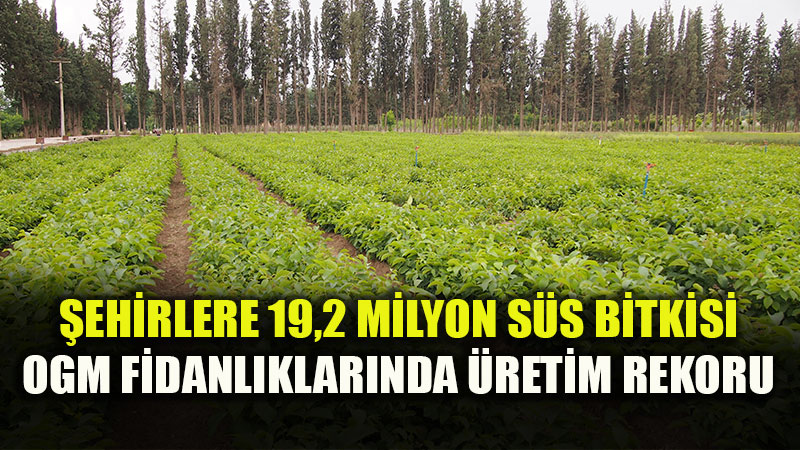 Orman Genel M�d�rl����nden �ehirlere Ye�il Dokunu�: 19,2 Milyon S�s Bitkisi �retildi