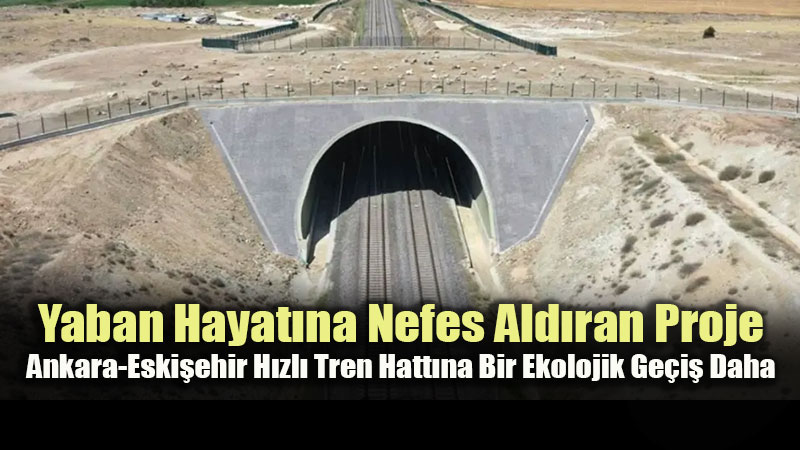 Eski�ehir YHT Hatt�na �kinci Ekolojik K�pr�! Bakan Uralo�lu Detaylar� A��klad�