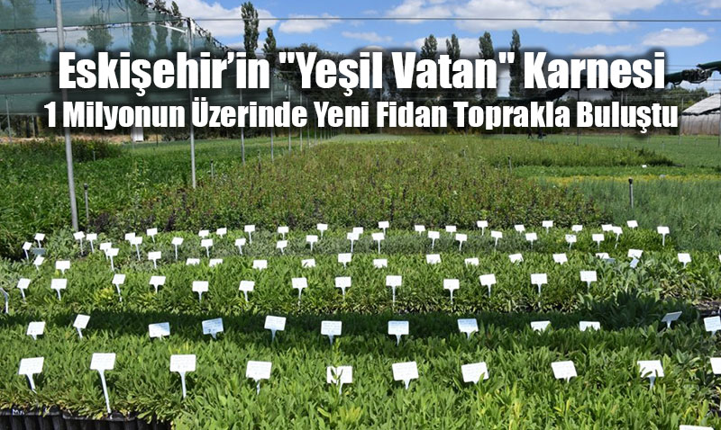 Eski�ehir�in "Ye�il Vatan" Karnesi: 1 Milyonun �zerinde Yeni Fidan Toprakla Bulu�tu