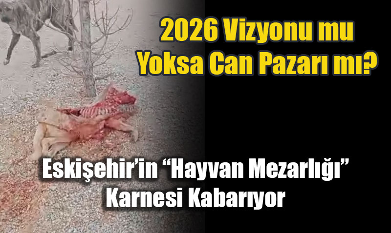 2026 Vizyonu mu, Yoksa Can Pazar� m�? 