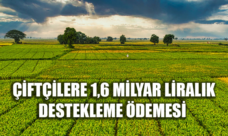 �ift�iye Cuma Bereketi: 1,6 Milyar Liral�k Destekleme �demesi Hesaplara Yat�r�ld�