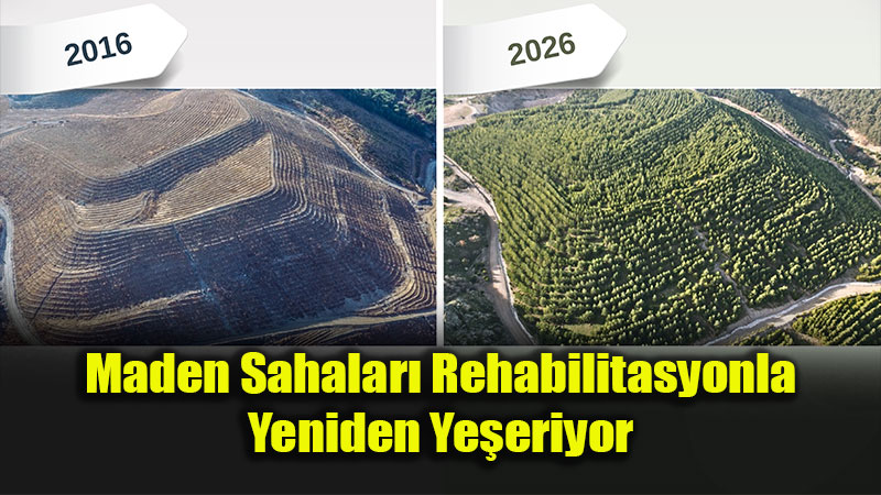 10 Y�ll�k Sab�r, 80 Bin Fidan: Dikili�de Maden Oca�� Ormana D�n��t�!