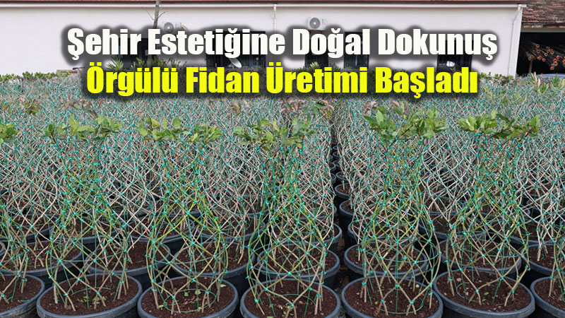 �ehirlerde "�rg�l� Fidan" Devrimi: T�rkiye Estetikle Bulu�uyor!