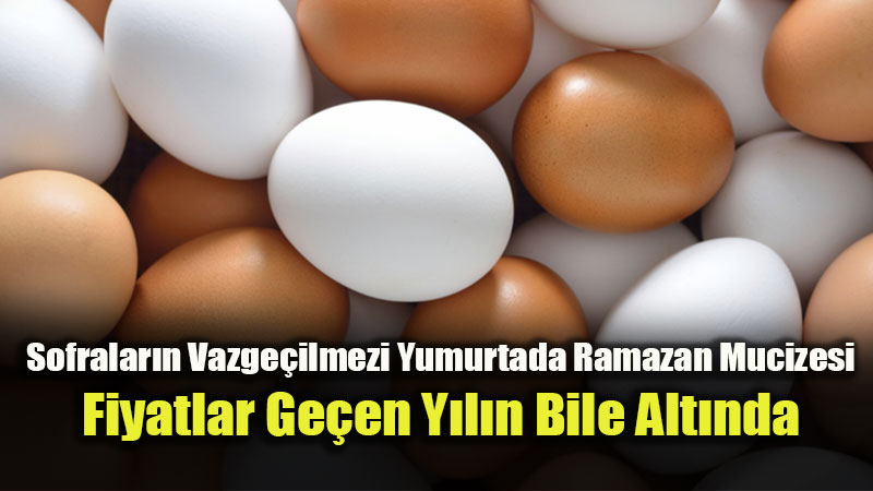 Ramazan�da Yumurta S�rprizi: Arz Fazlas� Fiyatlar� Tepe Taklak Etti