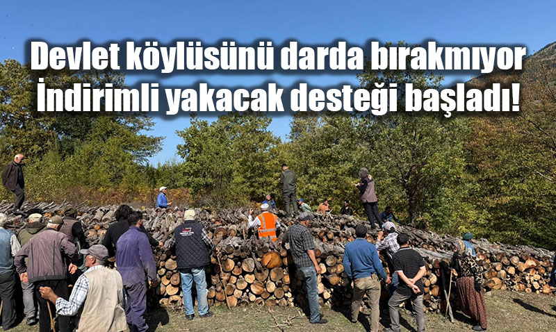 Orman k�yl�m�ze dev destek: Yakacak odun maliyet bedelinin ��te biri fiyat�na!