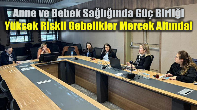 Halk Sa�l��� ve Akademi El Ele: Eski�ehir�de Riskli Gebelik Y�netimi Masaya Yat�r�ld�!